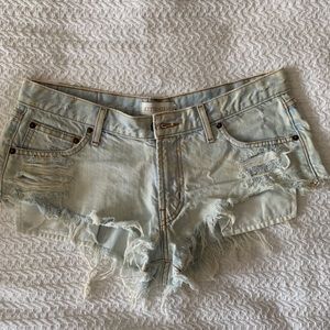 Kittenish by JJD shorts